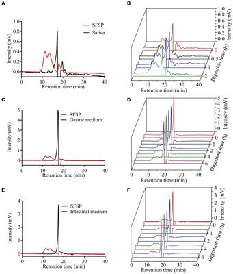 Modulation effect of sulfated polysaccharide from Sargassum fusiforme on gut microbiota and their metabolites in vitro fermentation